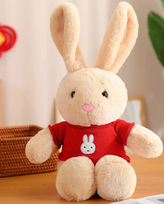Red sweater rabbit