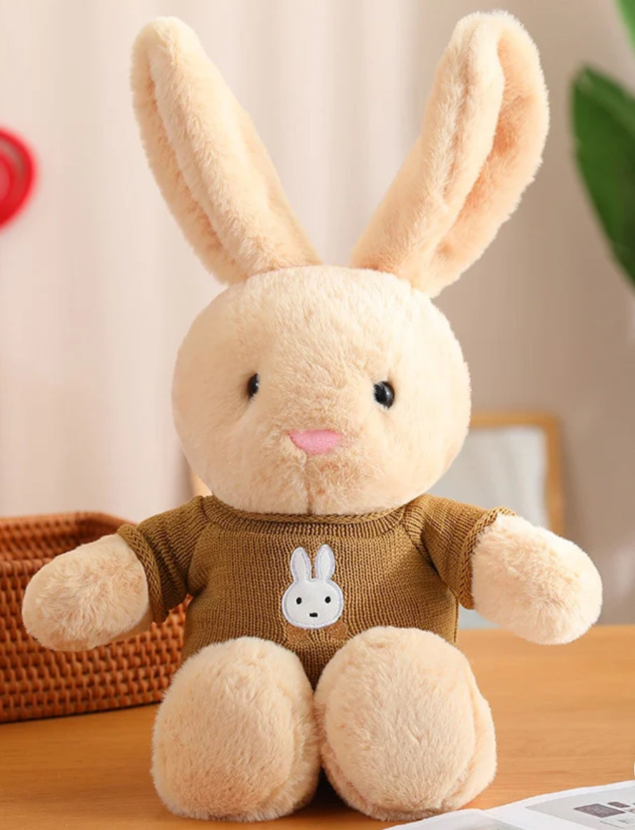 Brown rabbit with brown sweater