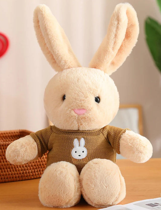 Brown rabbit with brown sweater