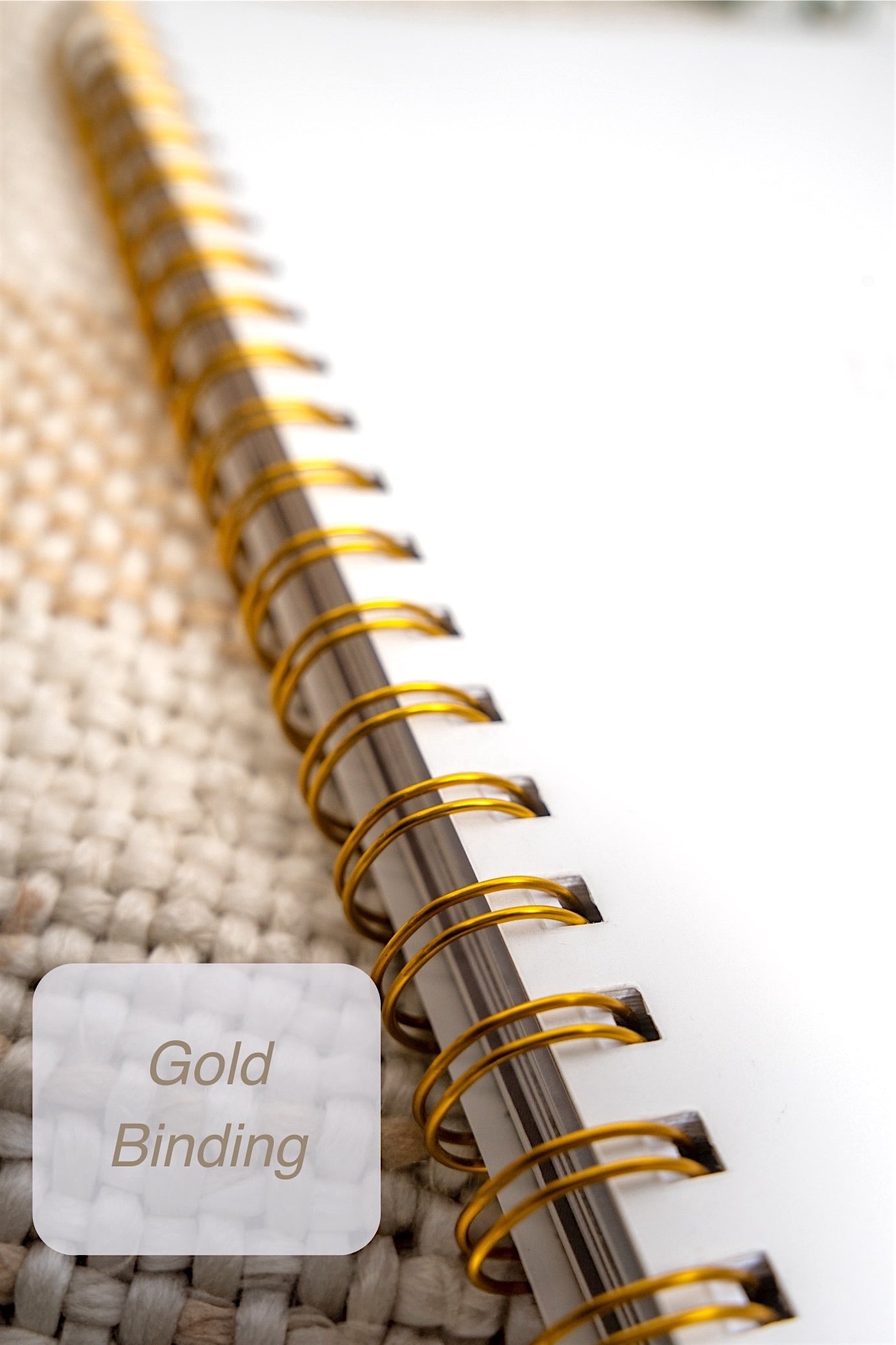 2025 planner with monthly Devotional